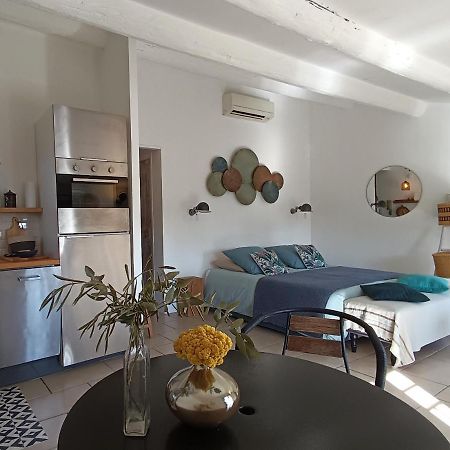 Apartament Vue Imprenable Sur La Sorgue LʼIsle-sur-la-Sorgue Zewnętrze zdjęcie
